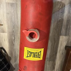 Everlast Boxing Bag 