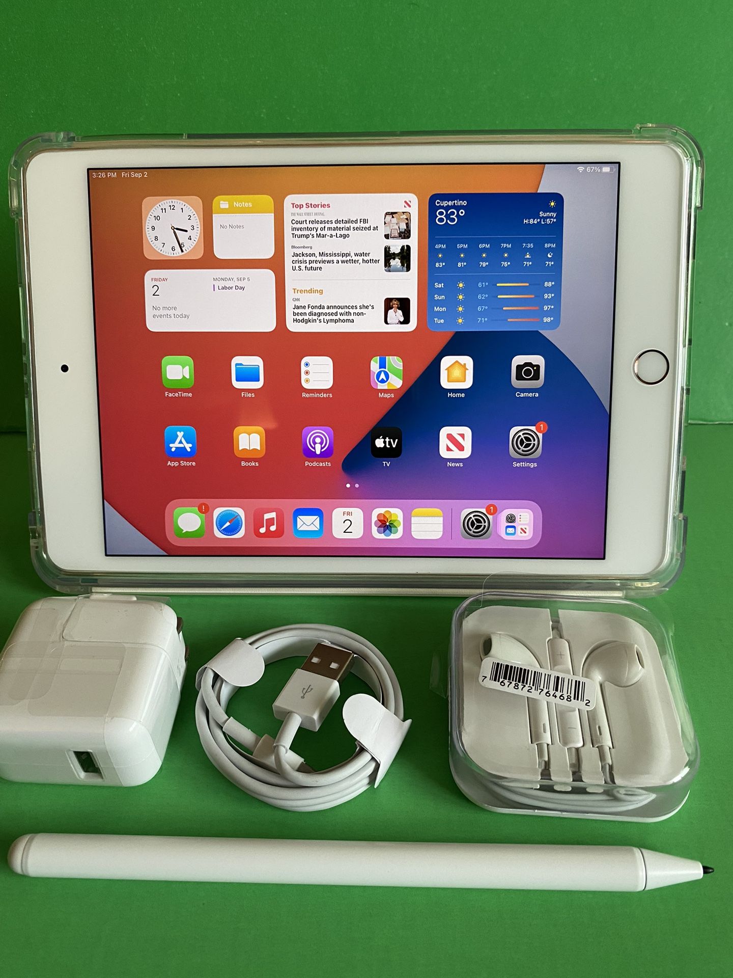 Apple iPad mini(6) 嫌がら 256GB+Apple Pencil(2)