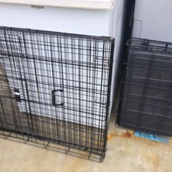 Dog Cage