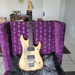 Washburn Nuno N24 Guitar