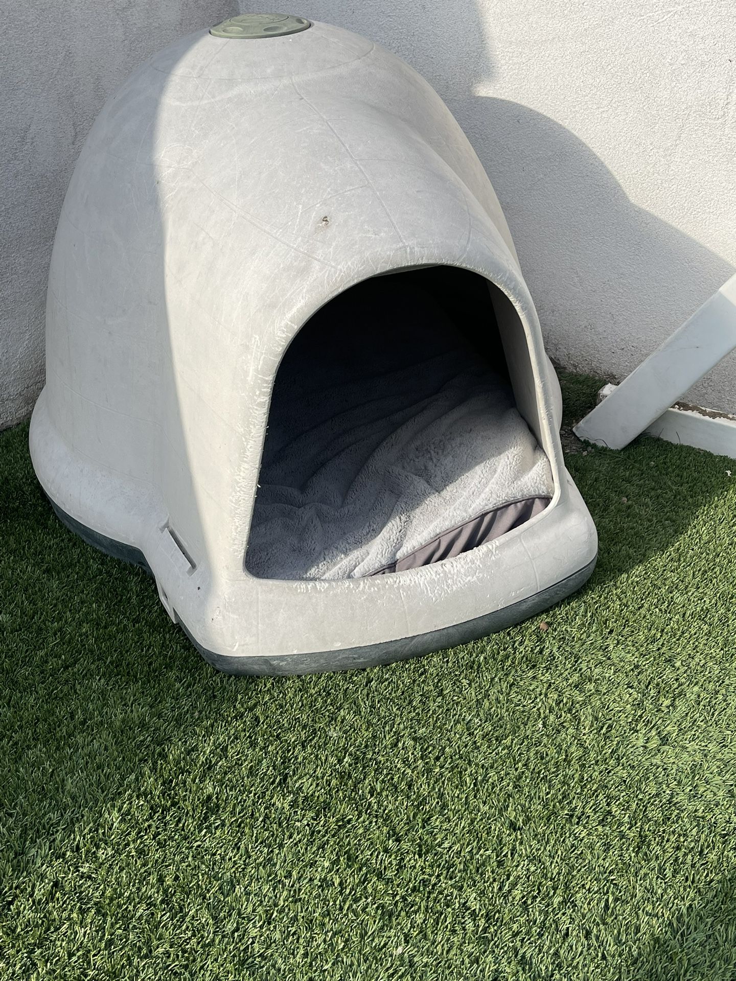 Dog House