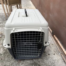 dog crate 
