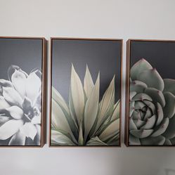 Nature Plants Photography Modern Art