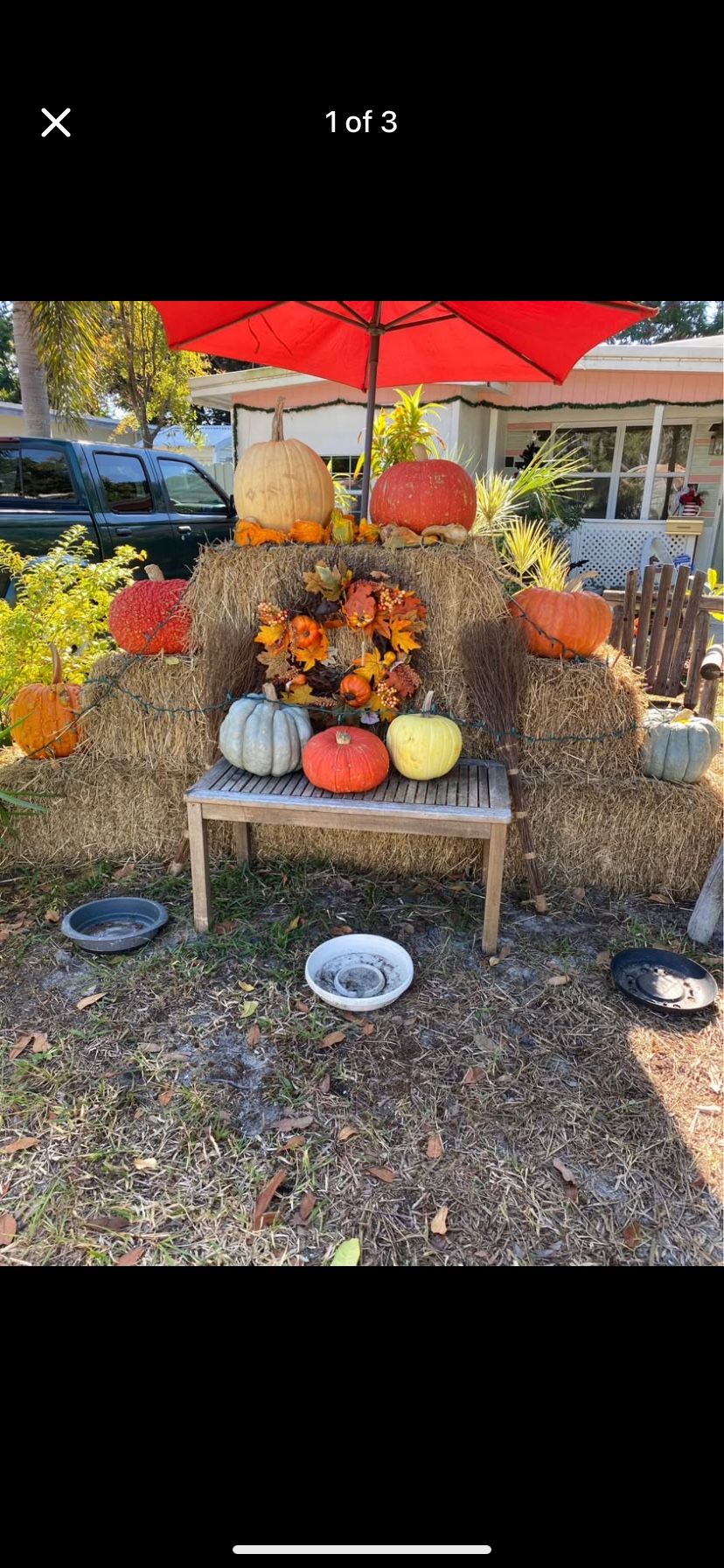 Hay & Pumpkins. FREE