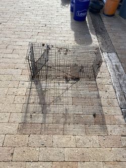 Medium Animal Cage Trap 