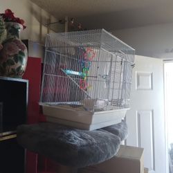 Birdcage And Accessories 