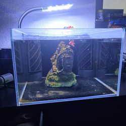 Fish Tank 