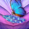 Simplystunning