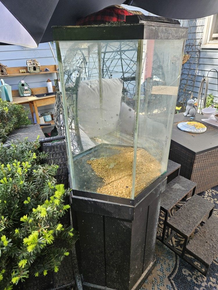 Hexagon Fish Tank