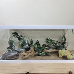 20 Gallon Reptile Terrarium w/Accessories