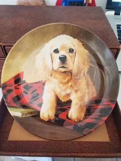 vintage Van Hygan & Smythe heavy cardboard storage box with Plates Lot