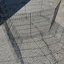 Dog Cage