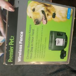 Dog Training Collar For A Large Dog