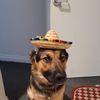 Luis