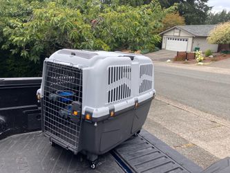 Large Dog Kennel Crate Skudo Airline Approved 36” Long 24” Wide 28” High like New on Rollers Show Dog Quality