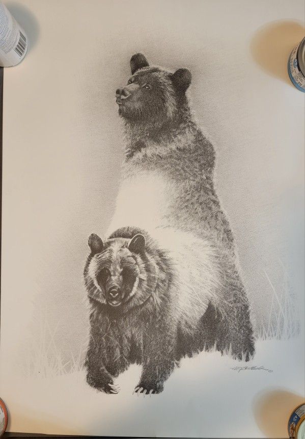 Bear transformation