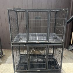Kennel
