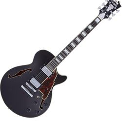 D' Angelico Semi-hollow Guitar