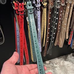 Dog Accessories Harness , Collar , Leash 