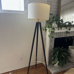 Black and Gold Floor Lamp 
