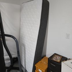 2 Twin Mattresses 1 Box Spring 