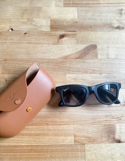 Wayfarer Meta Glasses