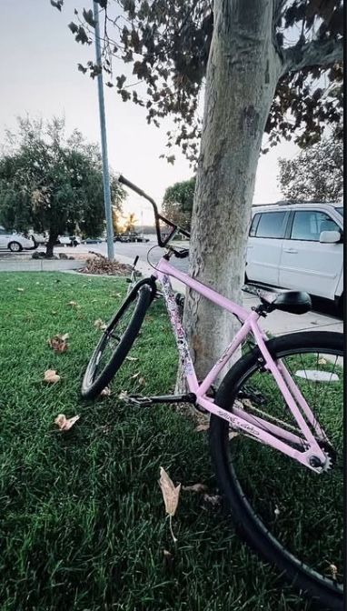 Throne Goon Chad Pink 29” (limited Edition)