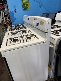 Stoves and fridge