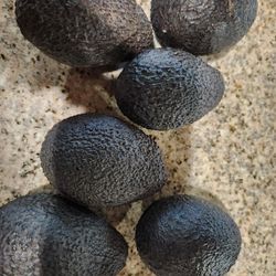 Hass Avocados/ Aguacates Hass 