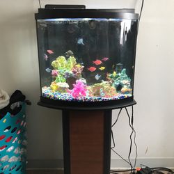 Fish Tank