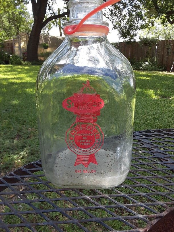 Milk Bottle