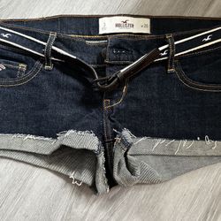 Hollister 