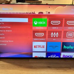 65” TLC TV and Mount