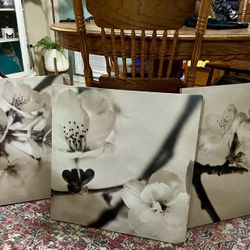 3x Floral Canvas Artwork - Wall Decor - Wall Hanging