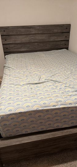 Bed frame, Box spring, Mattress and Chester