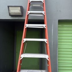 Werner 10ft Ladder 