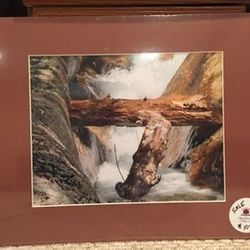 Nature Photographs that are matted