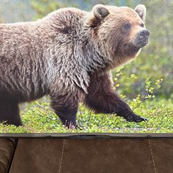 Grizzly Bear on Canvas