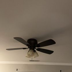 Fan and Light