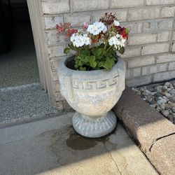 Flower Pot