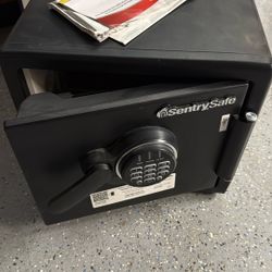 Used Sentry From Home Depot