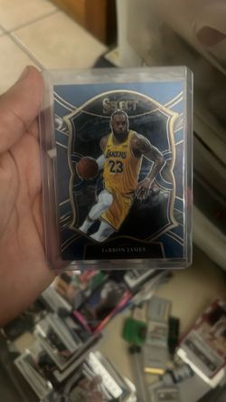 LeBron James Panini Select Basketball Card