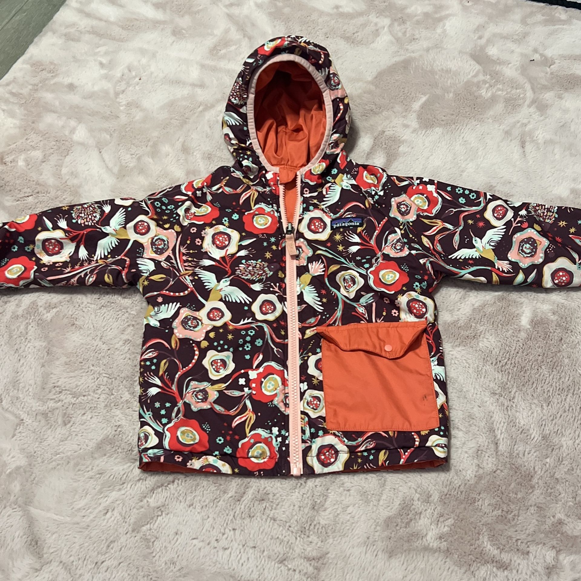 Patagonia Reversible Jacket