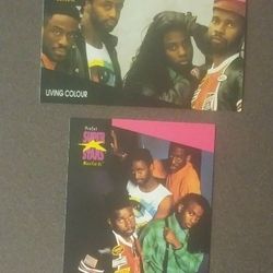 1991 ProSet Living Colour #201 #202 Rock Group Cards Lot Card Music Musicards Superstars Vintage Collectible Pro Set