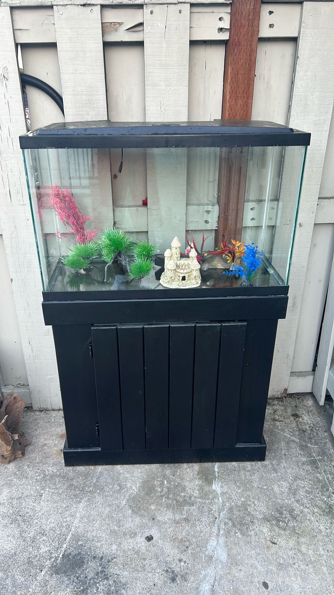 Fish Tank