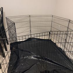 Dog Cage