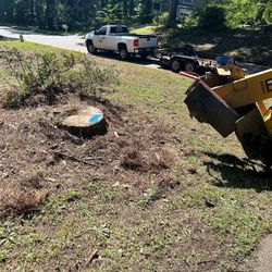 Stump Grinding 