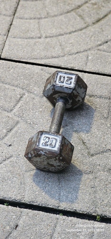 Dumbell 20lb - Single - Cast Iron