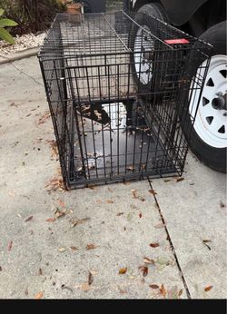 Medium cage