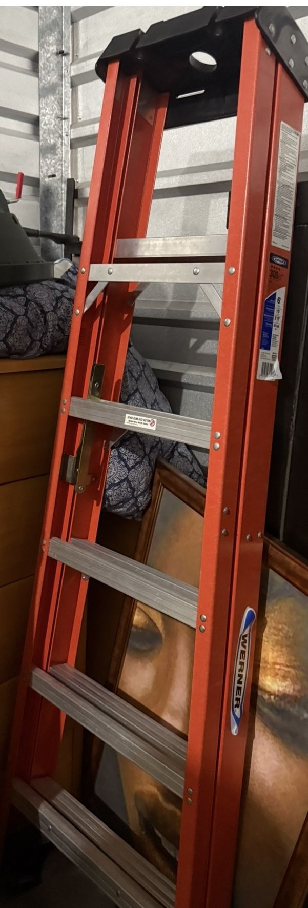 Ladder Werner